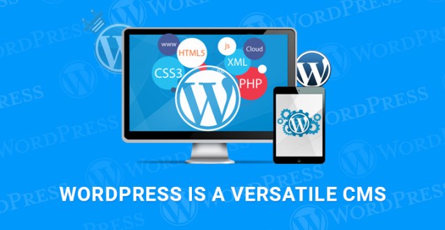 WordPress 多功能 CMS