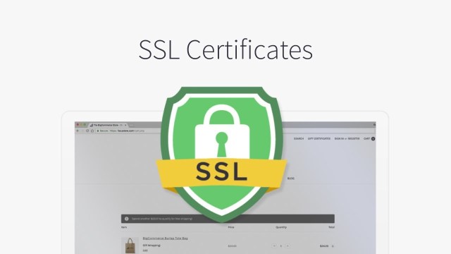 SSL 证书