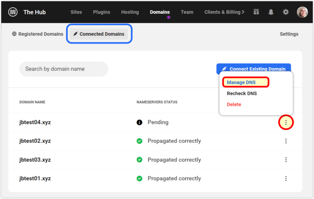 连接域管理dns (wpmudev)